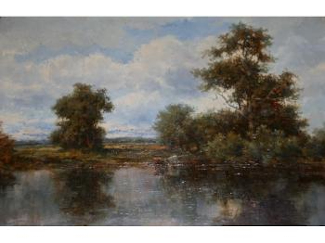 Cattle watering at the river edge by Campbell Mellon
