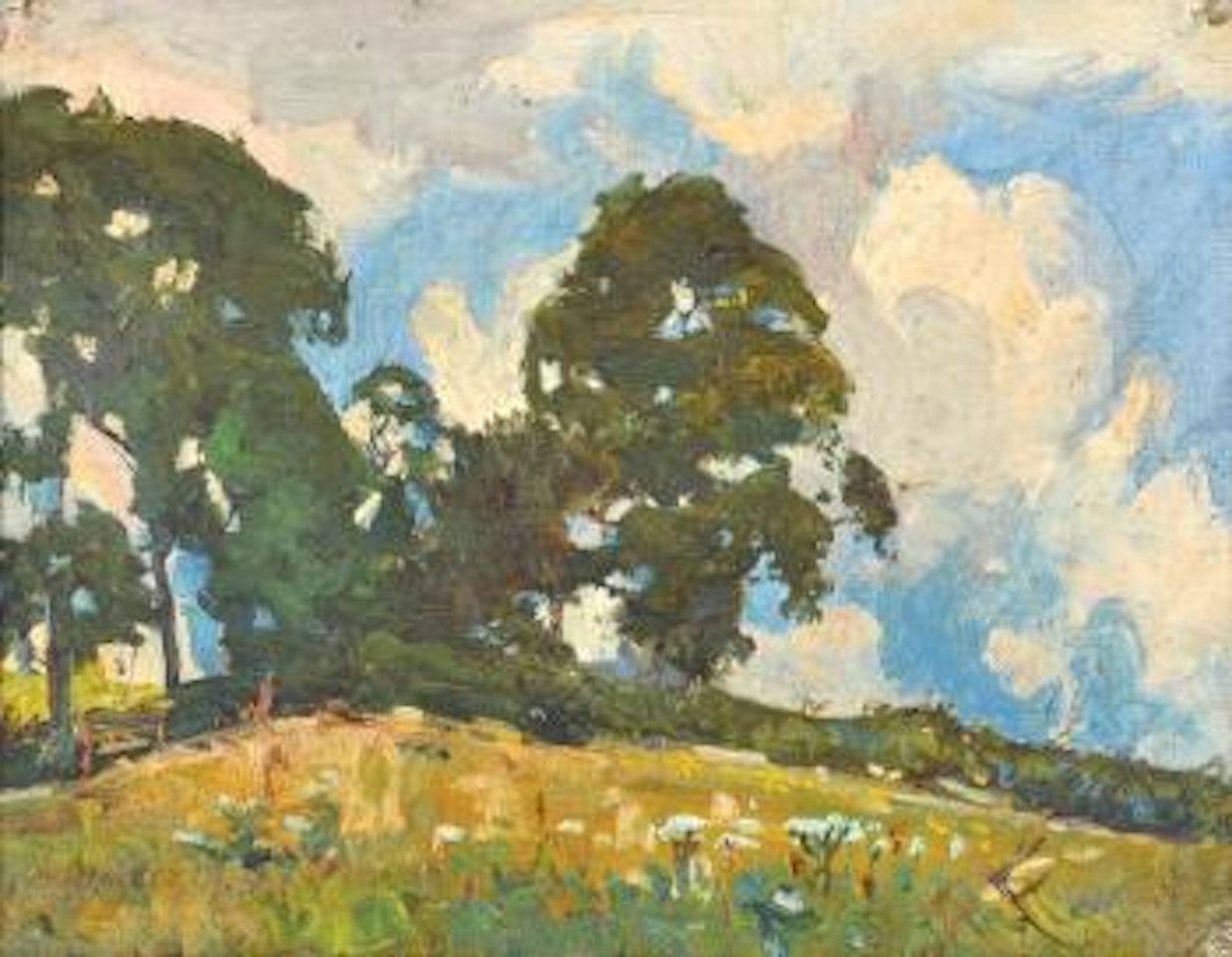 Summer Cornwall Landscape by Hayley Lever