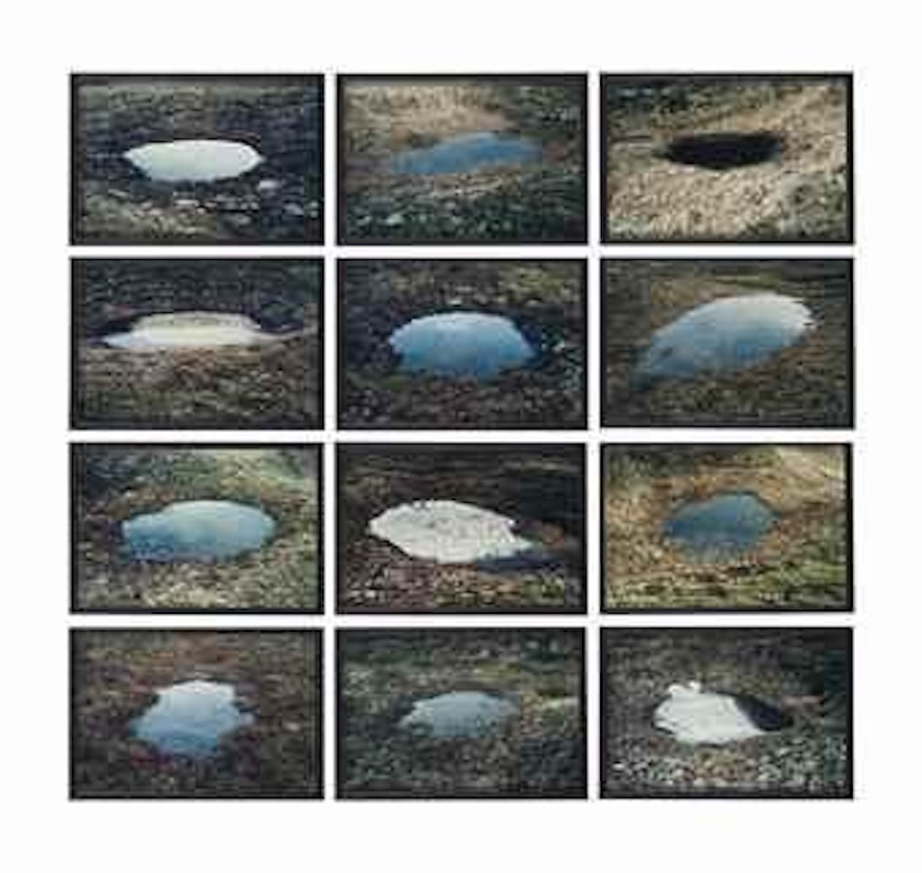 Spring puddle series by Olafur Eliasson