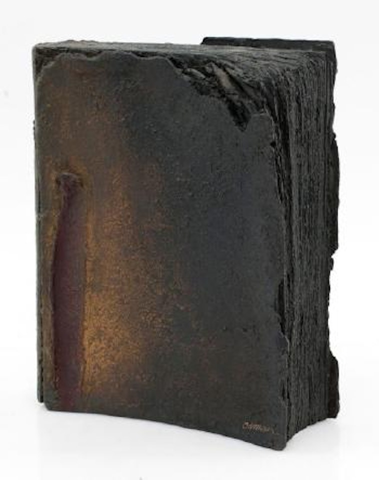 Livre calciné (Série The Day After) by Arman