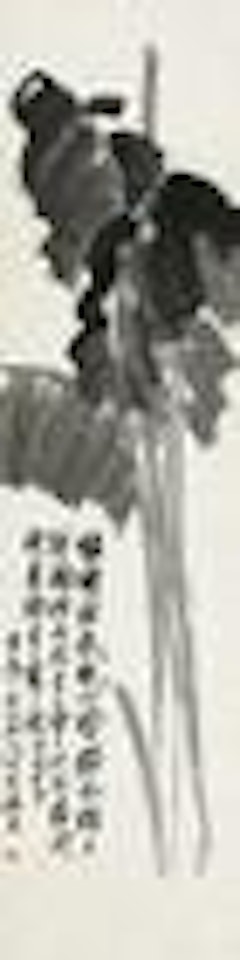 Basho by Qi Baishi