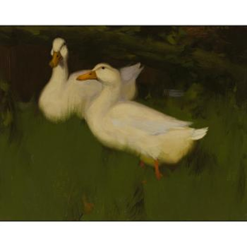 Ducks on a Bank by David Gauld