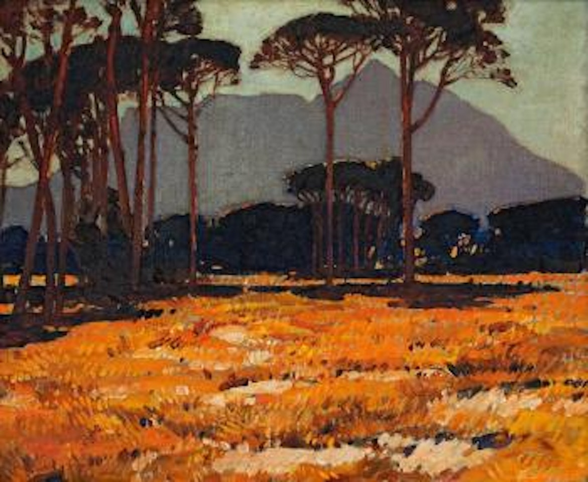 View of devil's peak by Robert Gwelo Goodman