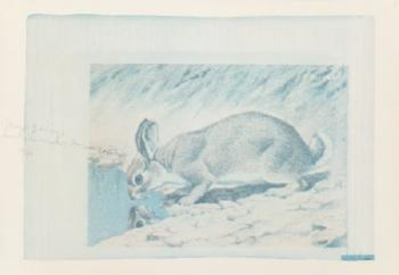 Amerikanischer Hasenzucker (American Hare Sugar) by Joseph Beuys