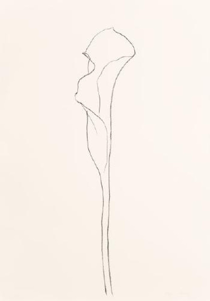Calla Lily 3 by Ellsworth Kelly