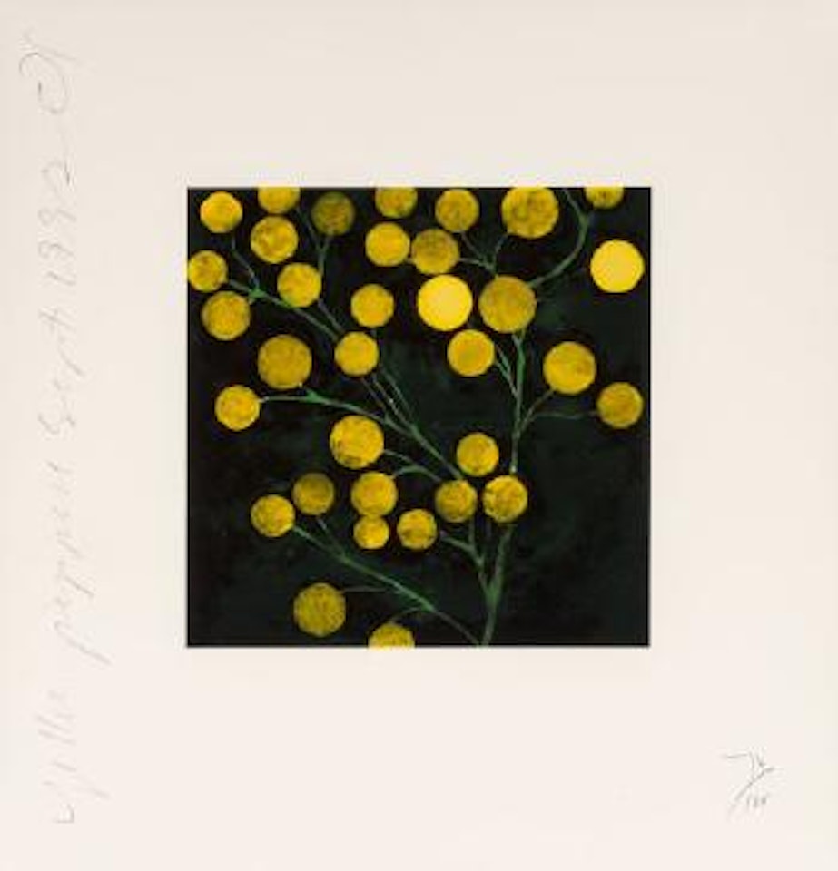 Yellow Peppers, from the Fruits and Flowers III suite by Donald Sultan