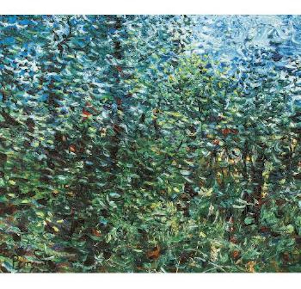 Through the Deserted Garden by John Perceval