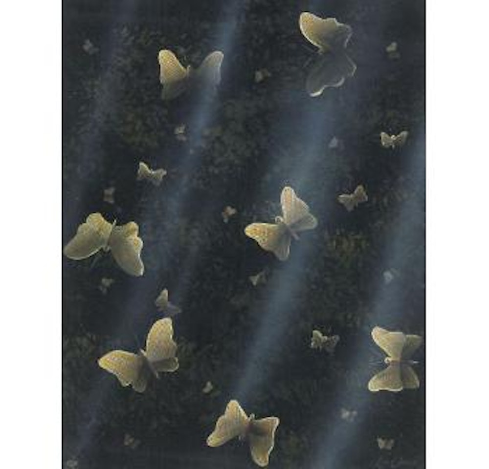Butterflies by Lin Onus