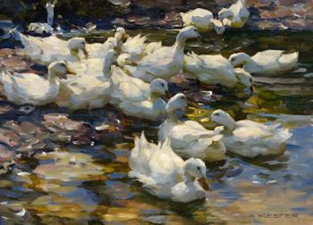 Ducks on the Water by Alexander Koester