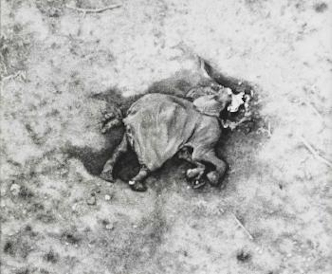The end of the game by Peter Beard