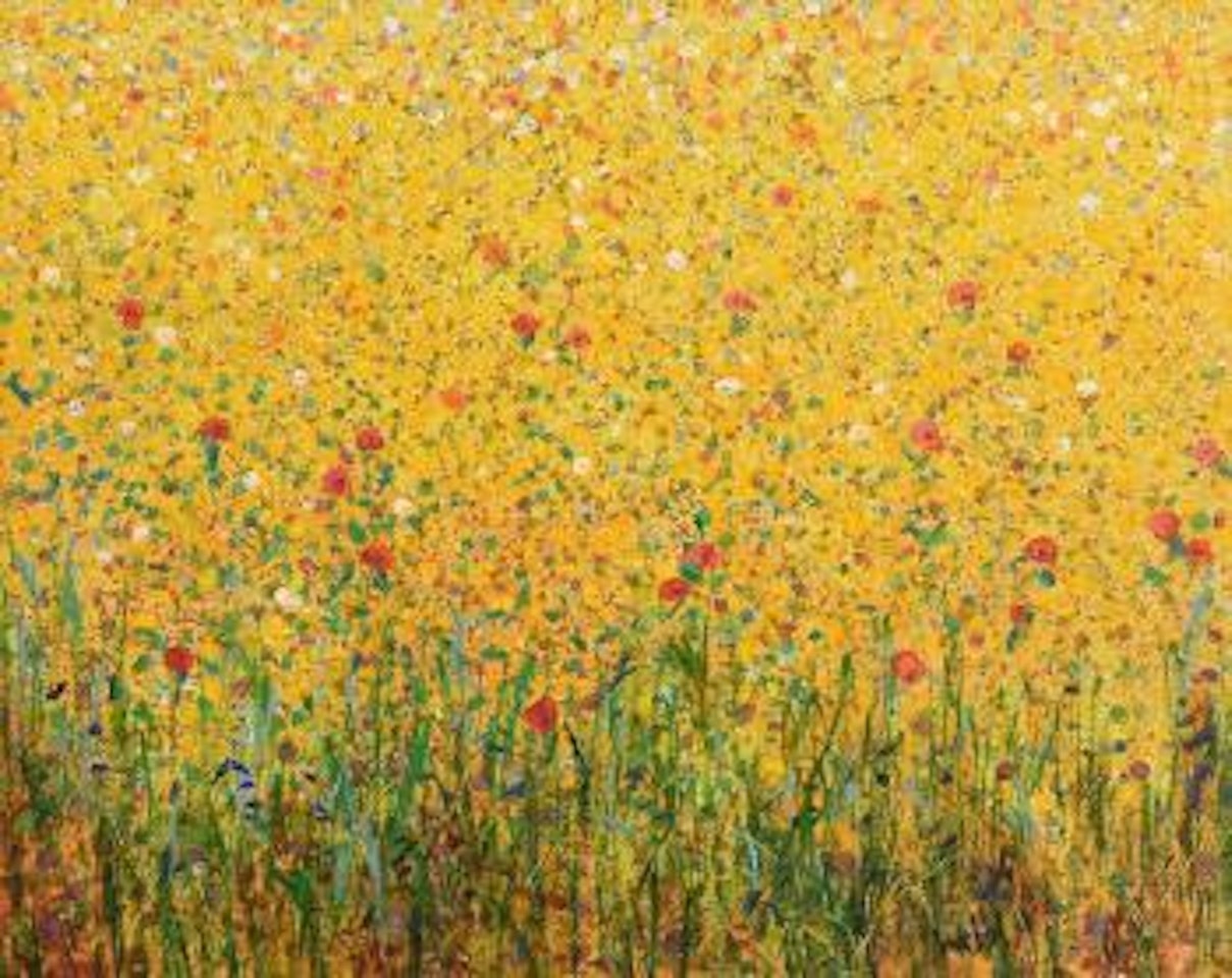Wild Oats and Poppies by Kenneth Webb