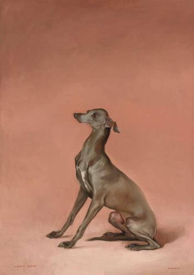 Perro by Claudio Bravo