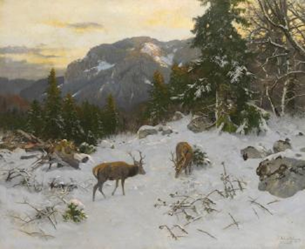 Hirsche Im Winterlichen Gebirge by Josef Schmitzberger
