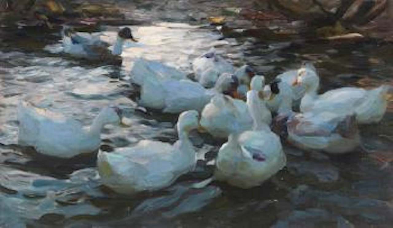 Elf Enten Im Wasser by Alexander Koester