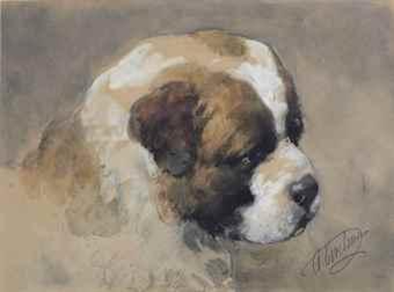 A study of a Saint Bernard puppy by Otto Eerelman
