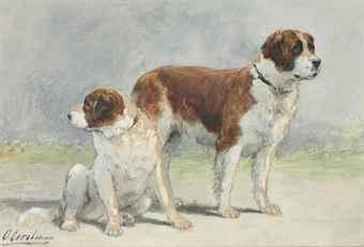Two Saint Bernard dogs by Otto Eerelman