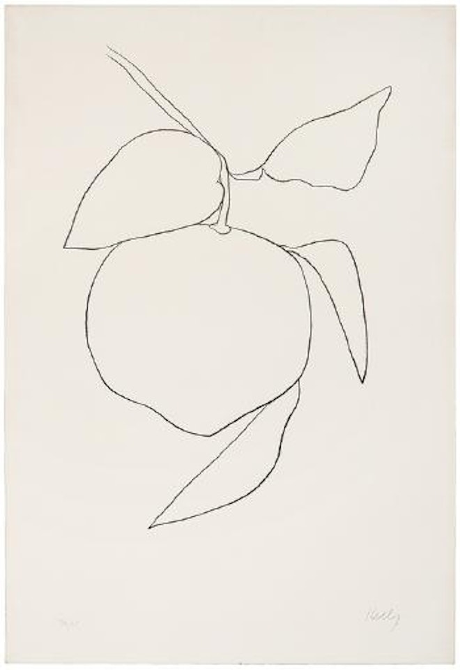 Tangerine (Mandarine) (from Suite of Plant Lithographs) by Ellsworth Kelly
