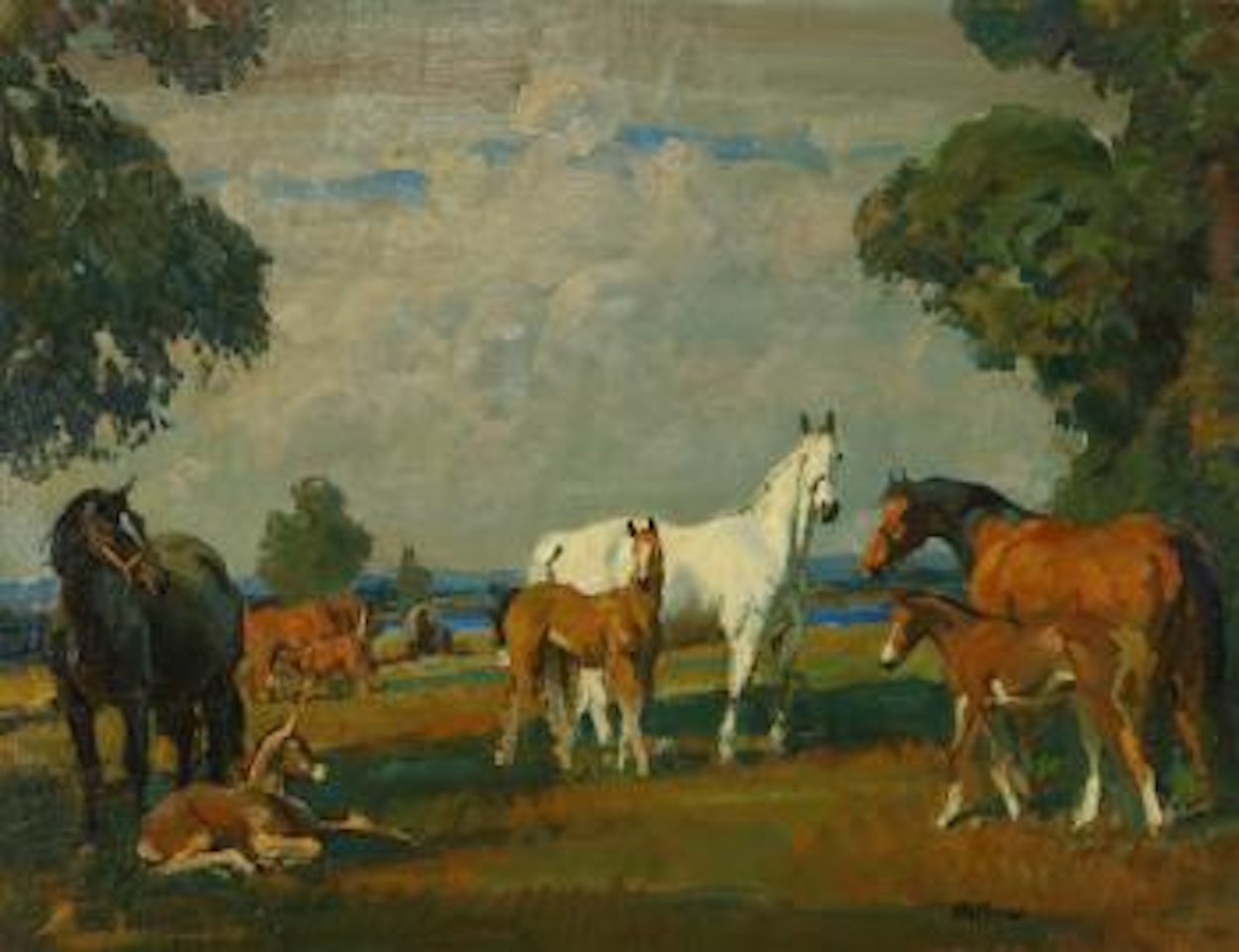 Taos Pastures by Frank B. Hoffman