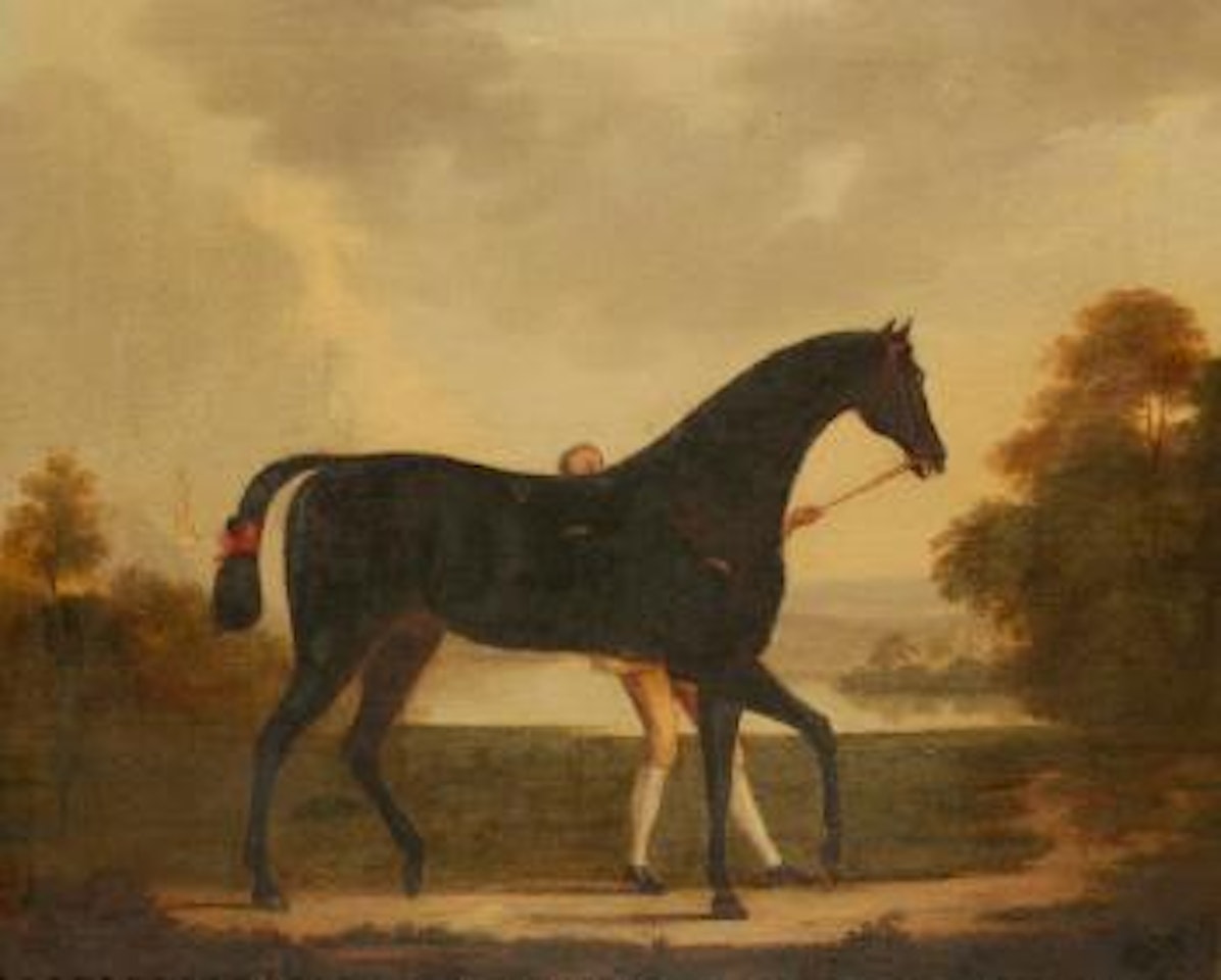 A study of a groom leading a horse by John Wootton