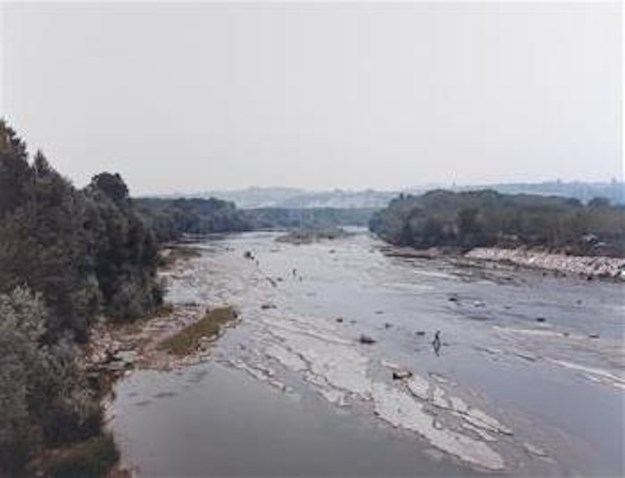 Alba by Andreas Gursky