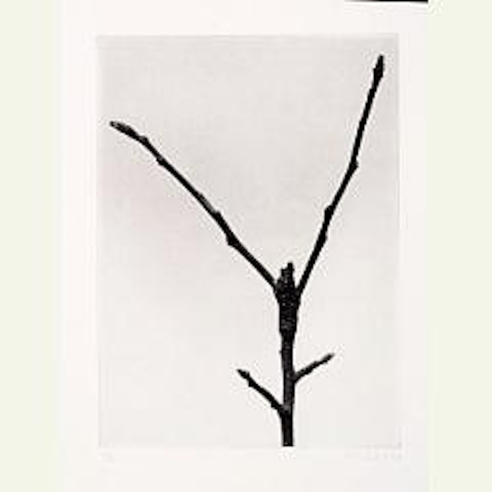 Landschaft mit Frauenfigur.  Suite of six works by Rosemarie Trockel