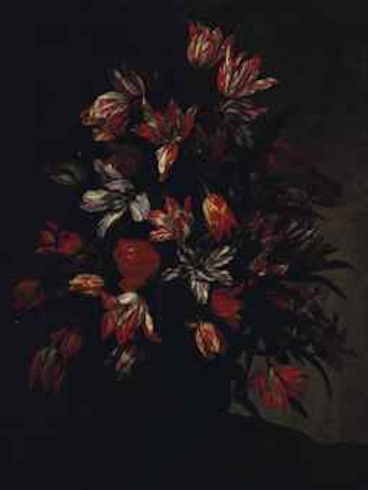 Tulips in an urn on a ledge by Italian School