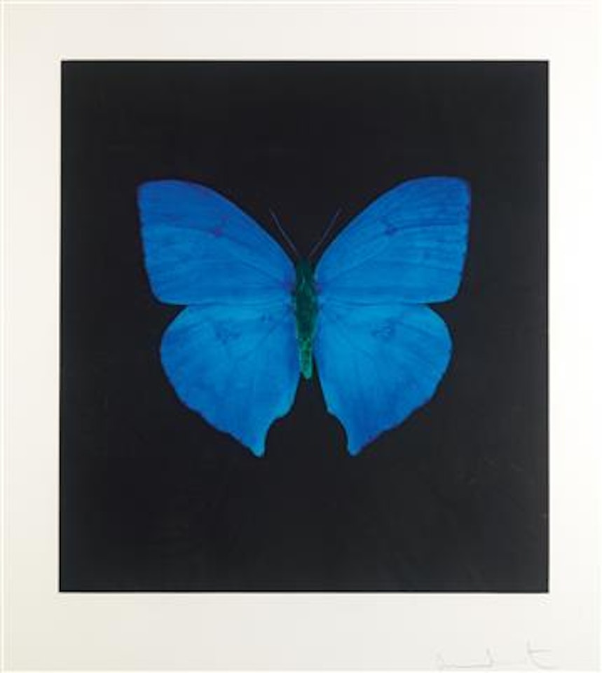 Memento – Butterfly blue by Damien Hirst