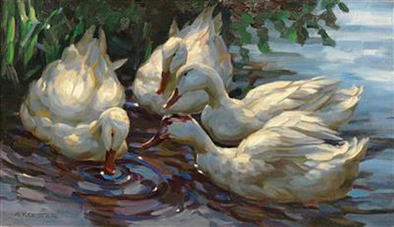 Four Ducks on a Pond by Alexander Koester