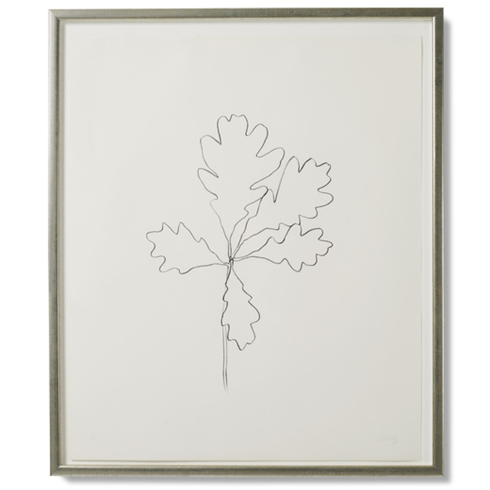 Oak (from the Oak Leaves) by Ellsworth Kelly