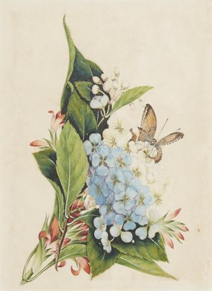 Flowers and Insects by Tingqua