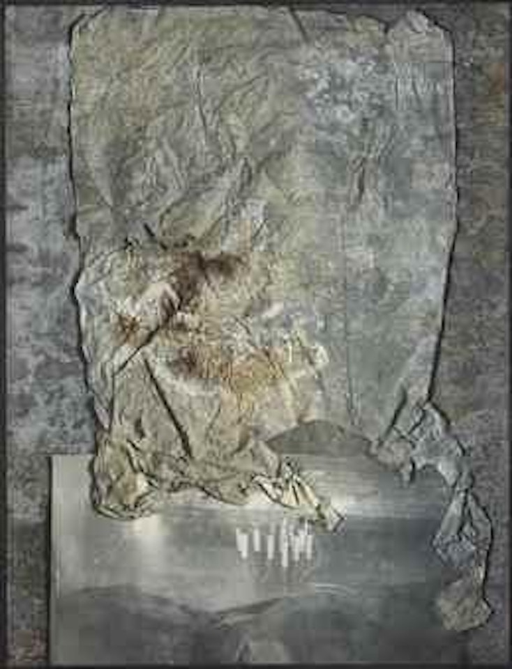 Brennstäbe (série Nachtschattengewächse) by Anselm Kiefer