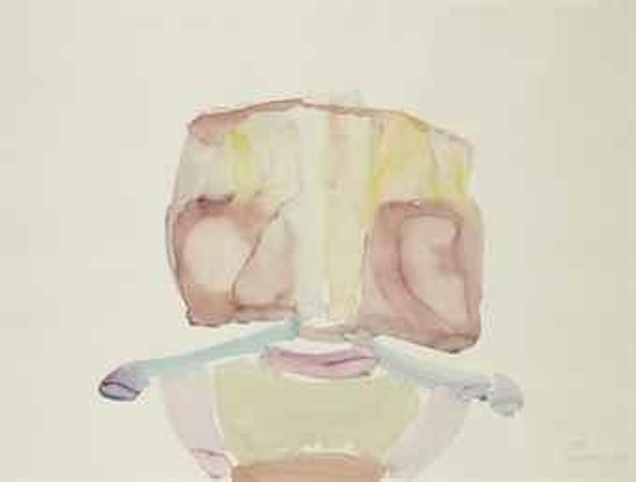 Kopf by Maria Lassnig