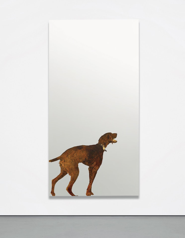 Violet Dog by Michelangelo Pistoletto