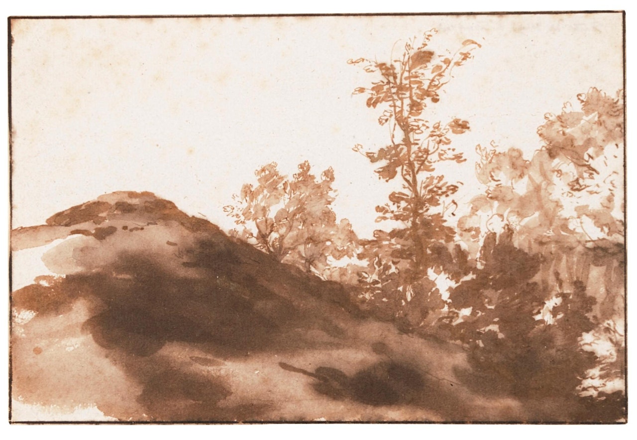 A Hillside and Trees, Near The Hague by Jan de Bisschop