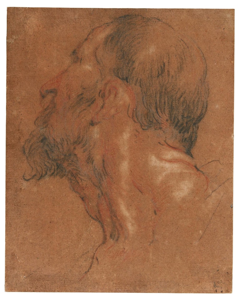 Head of A Man, Facing away to The Left by Jacob Jordaens