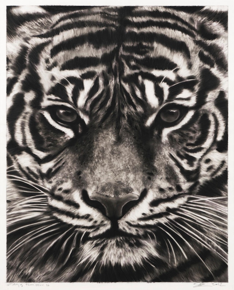Study of Tiger Head 16 by Robert Longo
