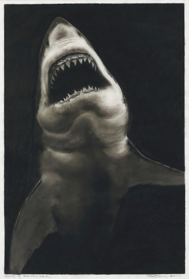 Study of Breaching Shark by Robert Longo