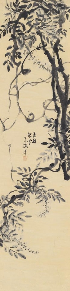 Wisteria by Chen Banding