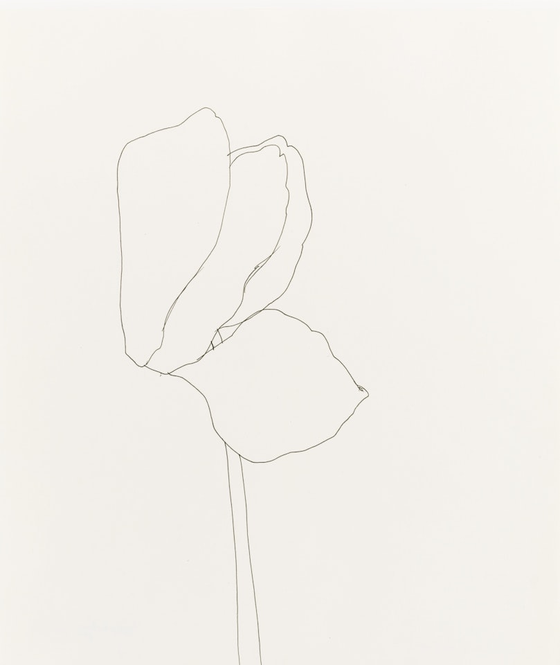 CYCLAMEN by Ellsworth Kelly