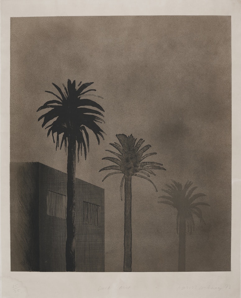 Dark Mist (S. A. C. 134; Mca Tokyo 123) by David Hockney