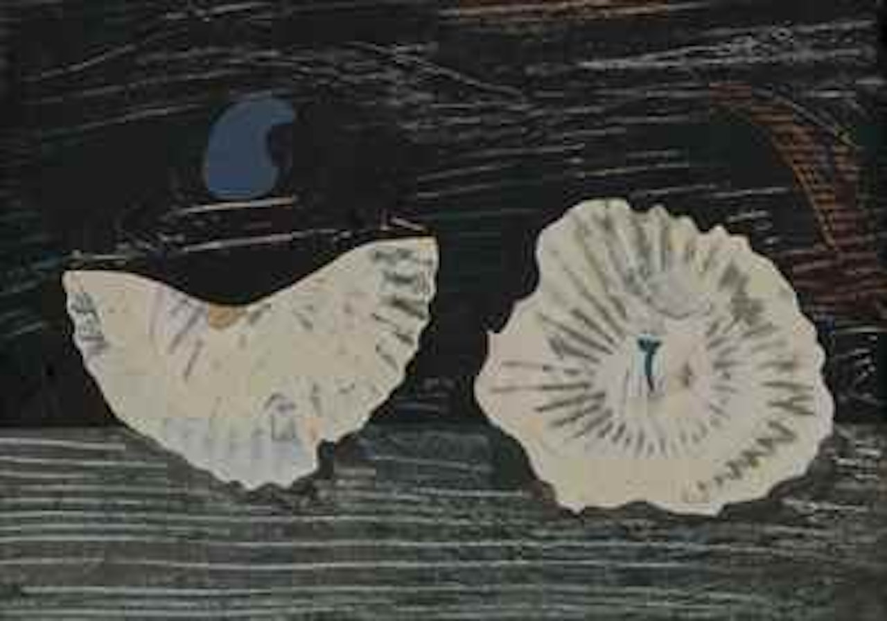 Muschelblumen by Max Ernst