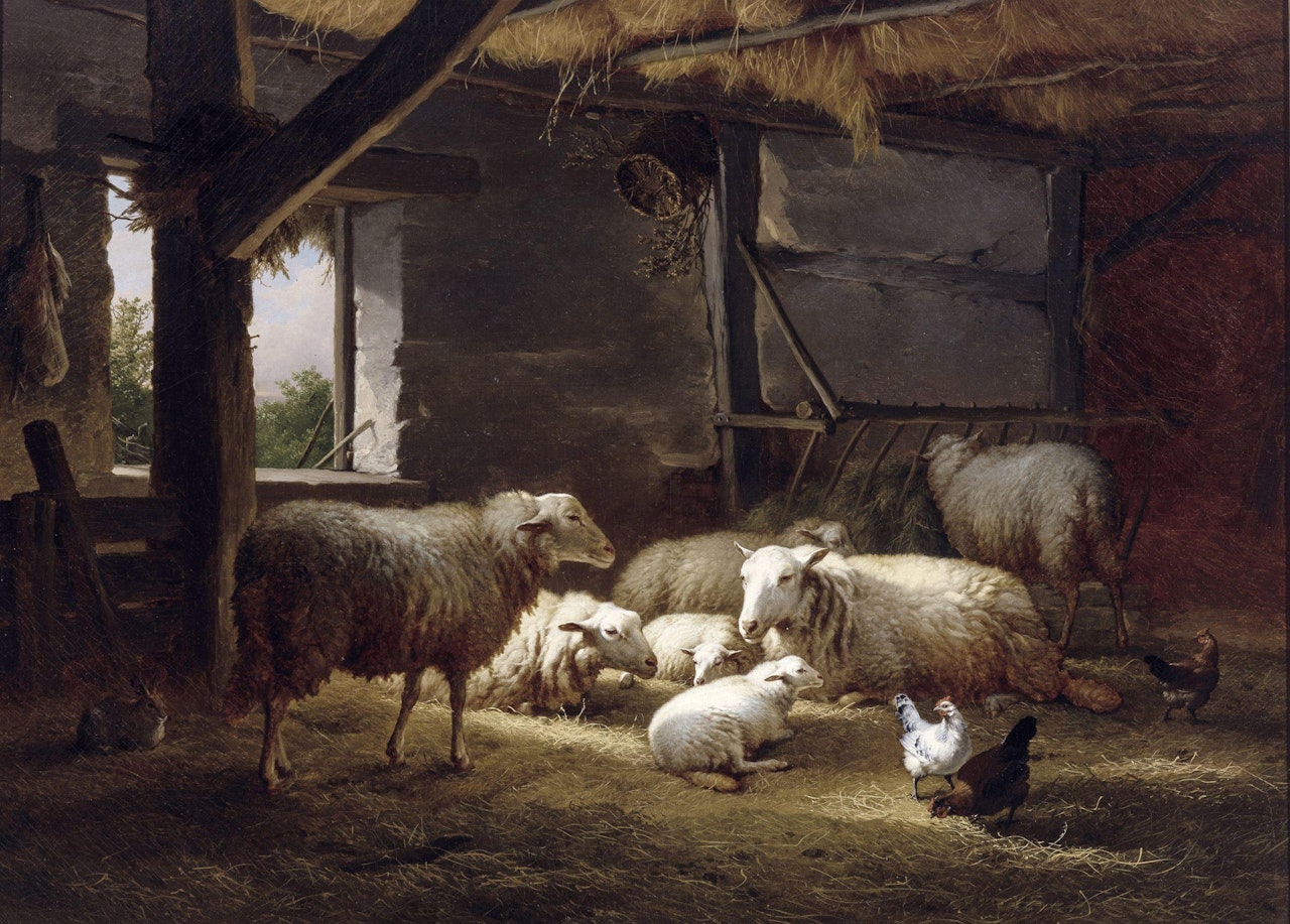 Schapen en kippen in een stal by Eugène Joseph Verboeckhoven