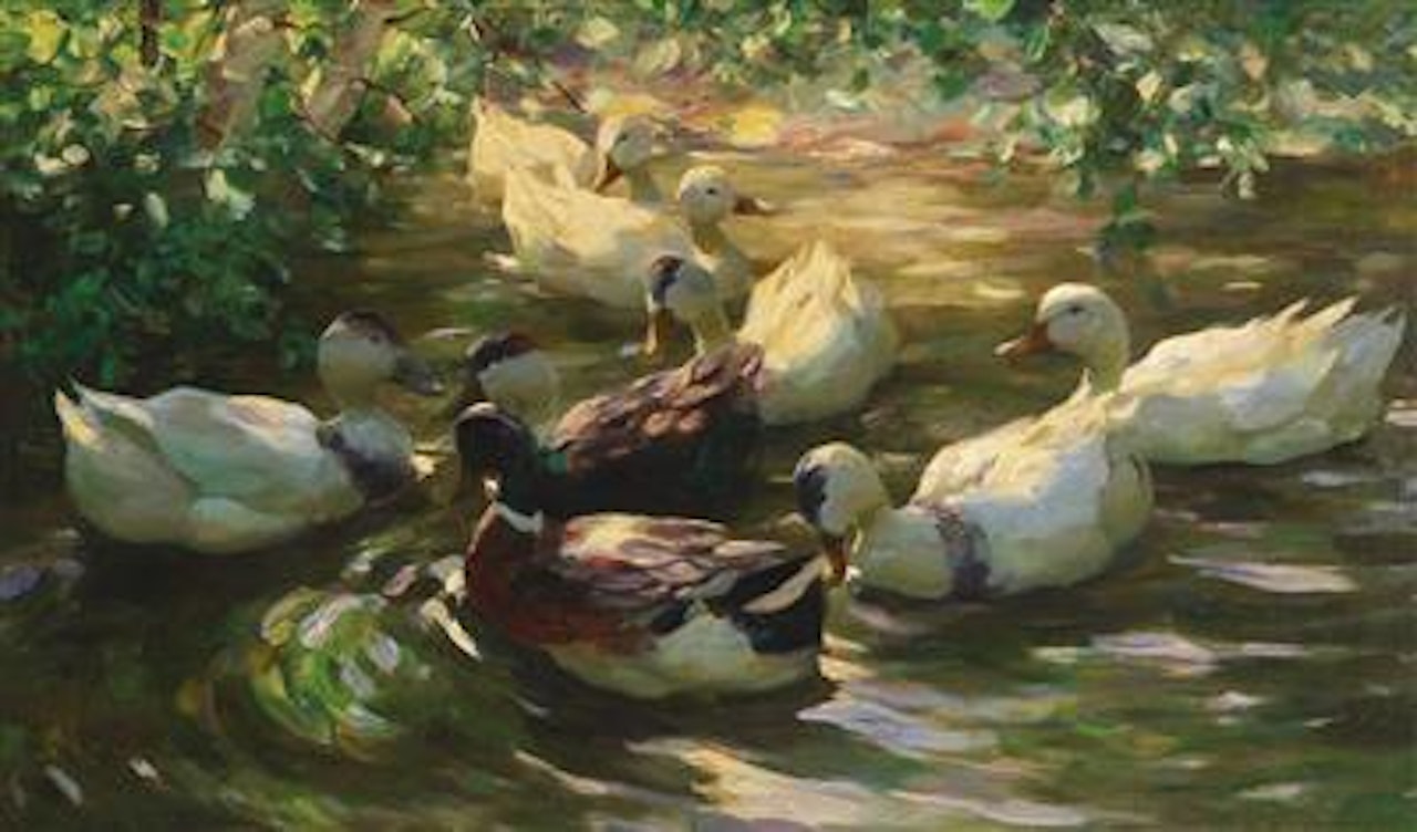 Ducks in a pond by Alexander Koester