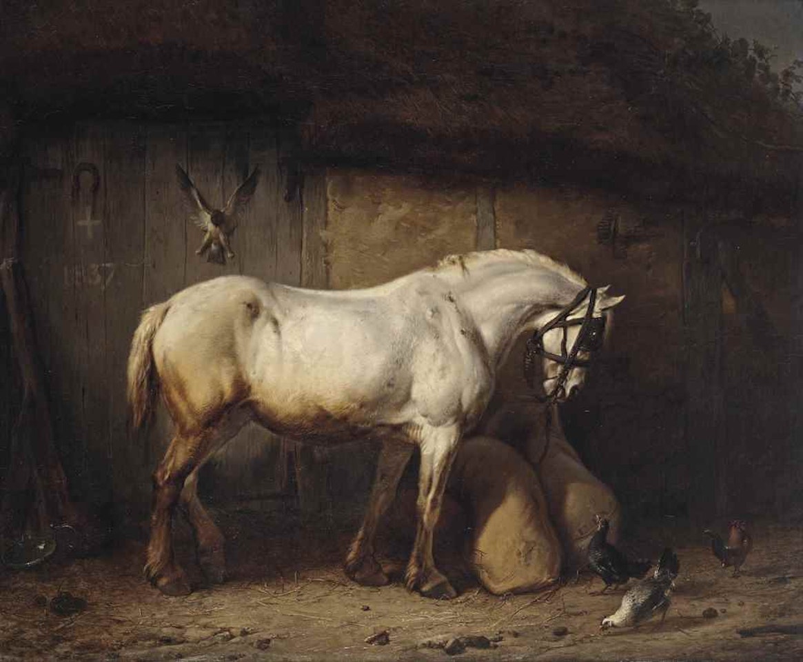 A grey by Eugène Joseph Verboeckhoven