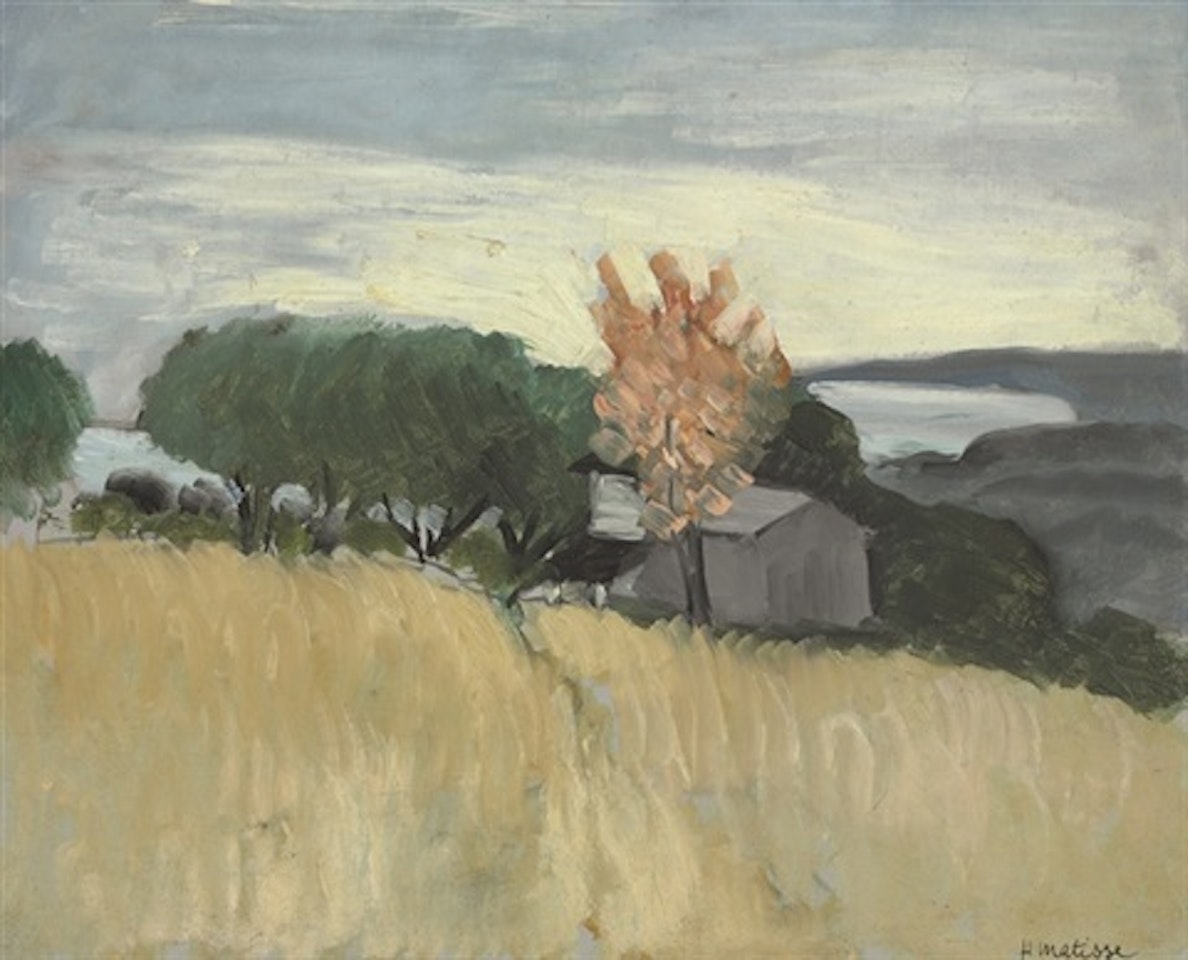 Champs de blé à Cagnes by Henri Matisse