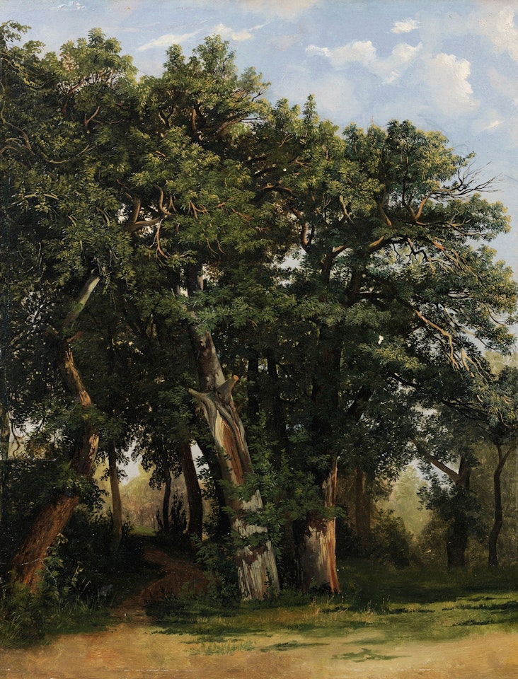 GROUPE DE CHÊNES by Alexandre Calame