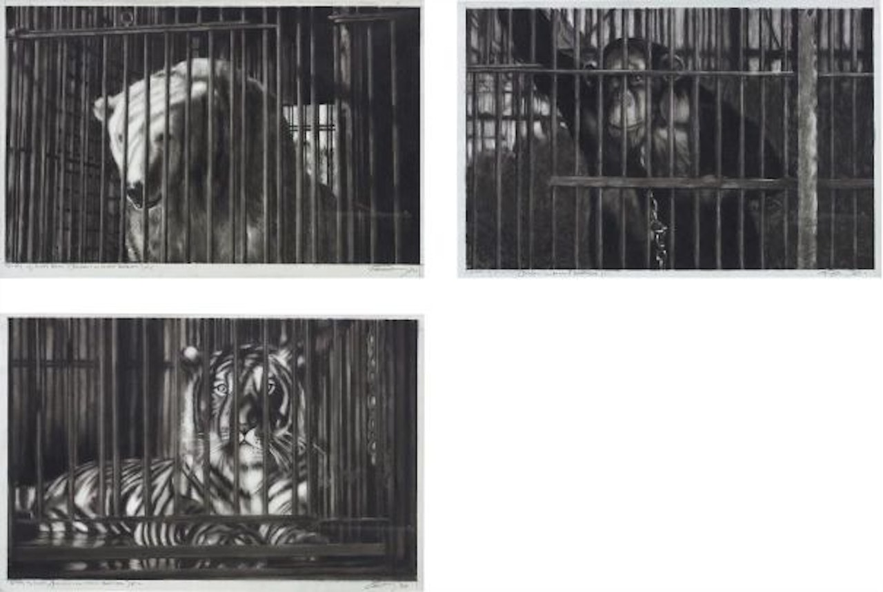Study of Polar Bear (Bresson's au hasard Balthazar) #1; Study of Tiger (Bresson's au hasard Balthazar) #2; Study of Monkey (Bresson's au hasard Balthazar) #3 by Robert Longo