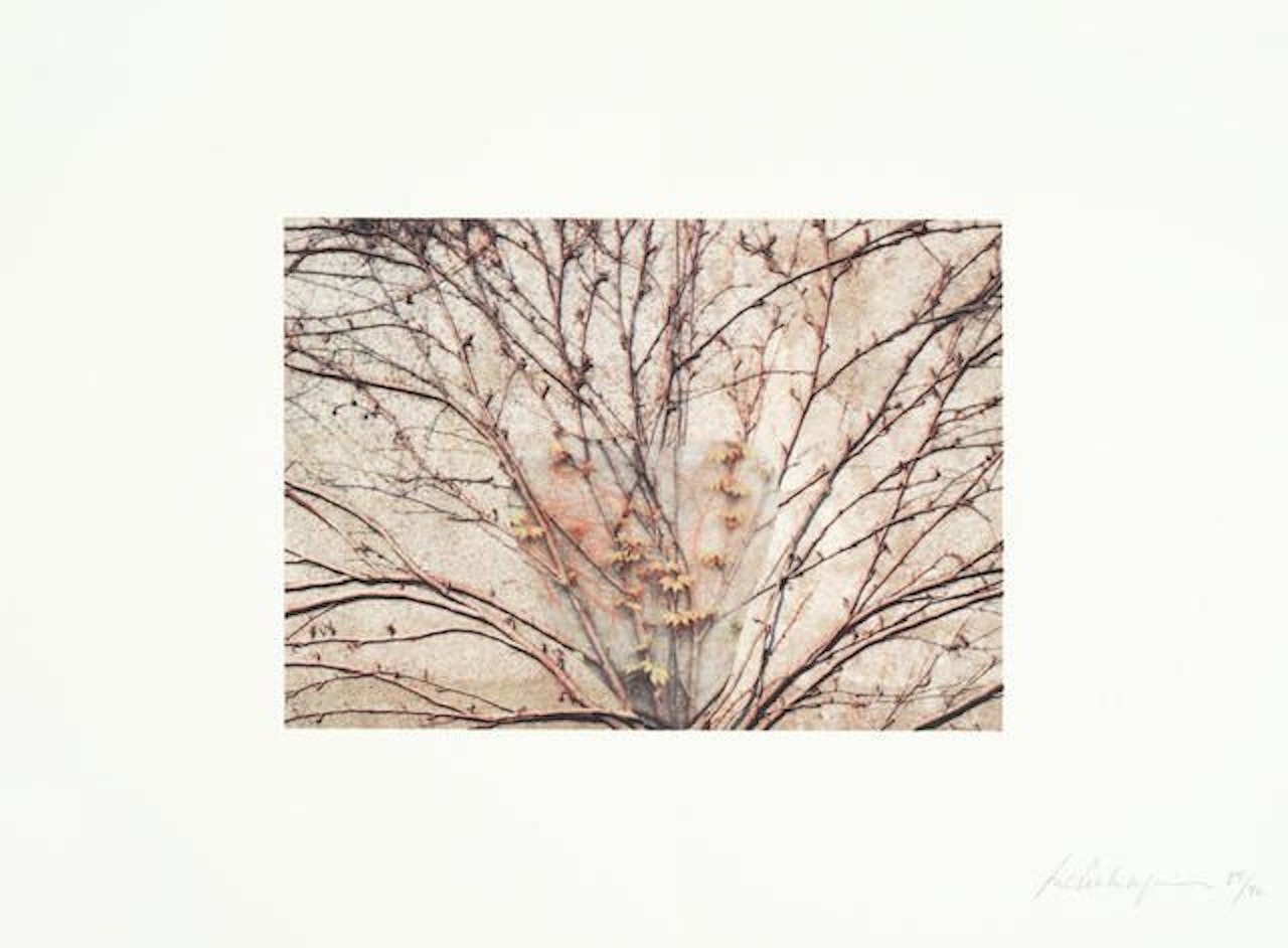 The Edge of Awareneess by Various Artists