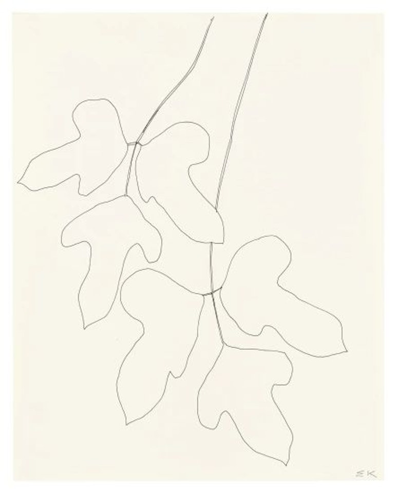 Leaves by Ellsworth Kelly