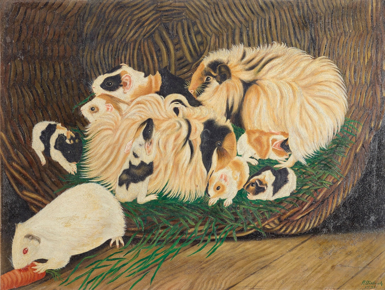 Bunte Gesellschaft: Angora-Meerschweinchen by Adolf Dietrich